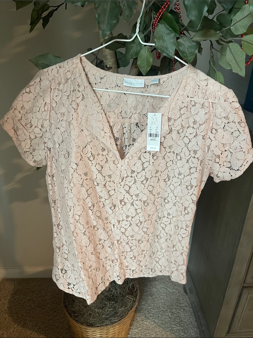 New York & Company Blush Pink Lace V-Neck Short Sleeve Top